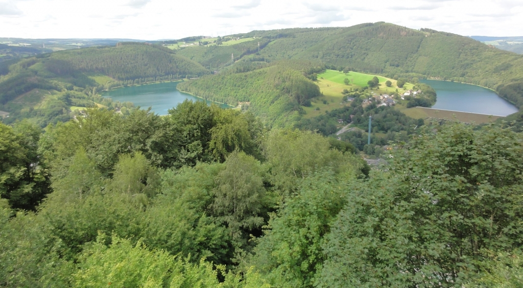 Bois du Tour du Coo